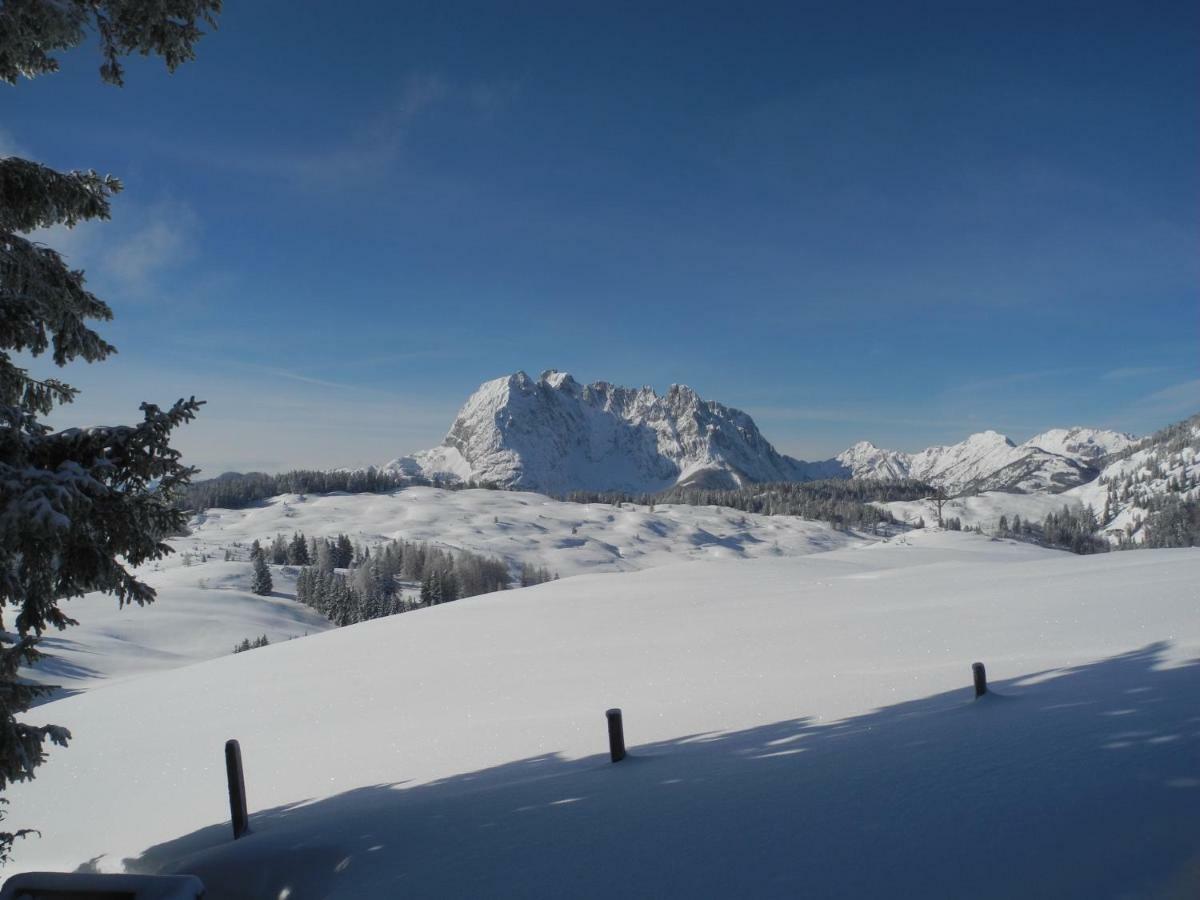 Appartement Pure Mountain Base *